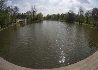 Reflection of trees in water