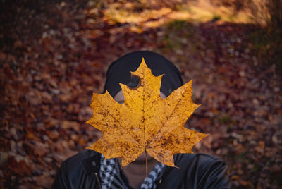 Person on maple leaf during autumn