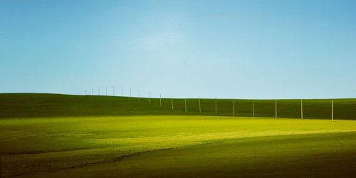 Scenic view of field against clear sky