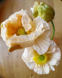 Close-up of yellow flowers