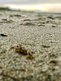 Surface level of sand at beach