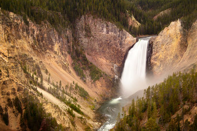 Scenic view of waterfall in forest