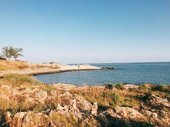 Scenic view of sea against clear sky