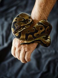 Close-up of man holding snake