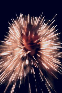 Low angle view of firework display at night