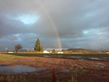 Scenic view of rainbow over field during rainy season