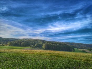 Scenic view of field against sky