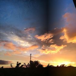 Silhouette of trees at sunset