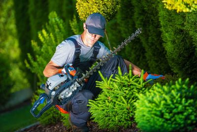 Man trimming hedge with clippers at garden