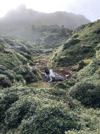 Aerial view of landscape