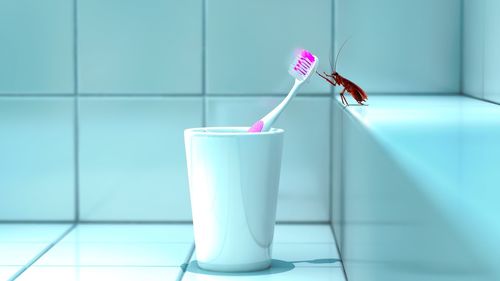 Insect on pink toothbrush