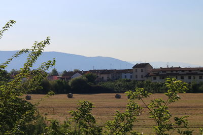 Scenic view of field against clear sky