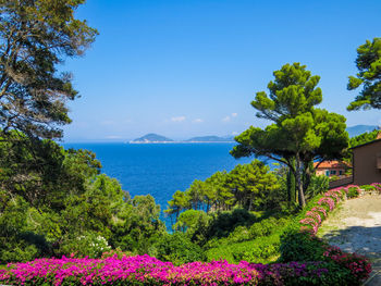 Scenic view of sea against blue sky