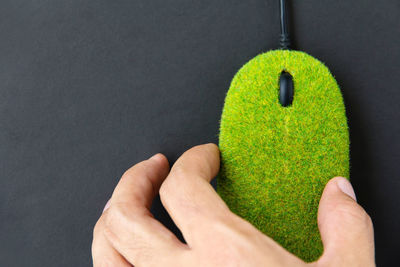 Close-up of man holding leaf