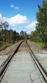 Surface level of railway tracks along trees