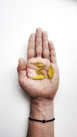 Close-up of hand holding fruit against white background