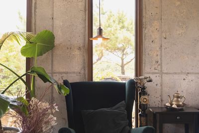 Potted plant on window sill at home