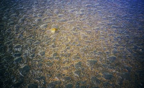 High angle view of rocks in sea