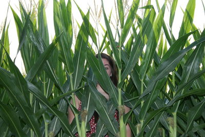 Close-up of young plant in field