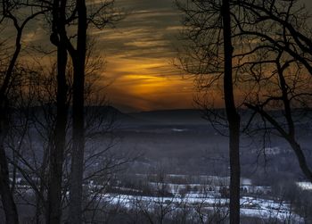 Bare trees on landscape at sunset