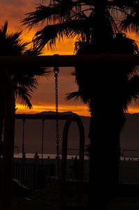 Silhouette of trees during sunset