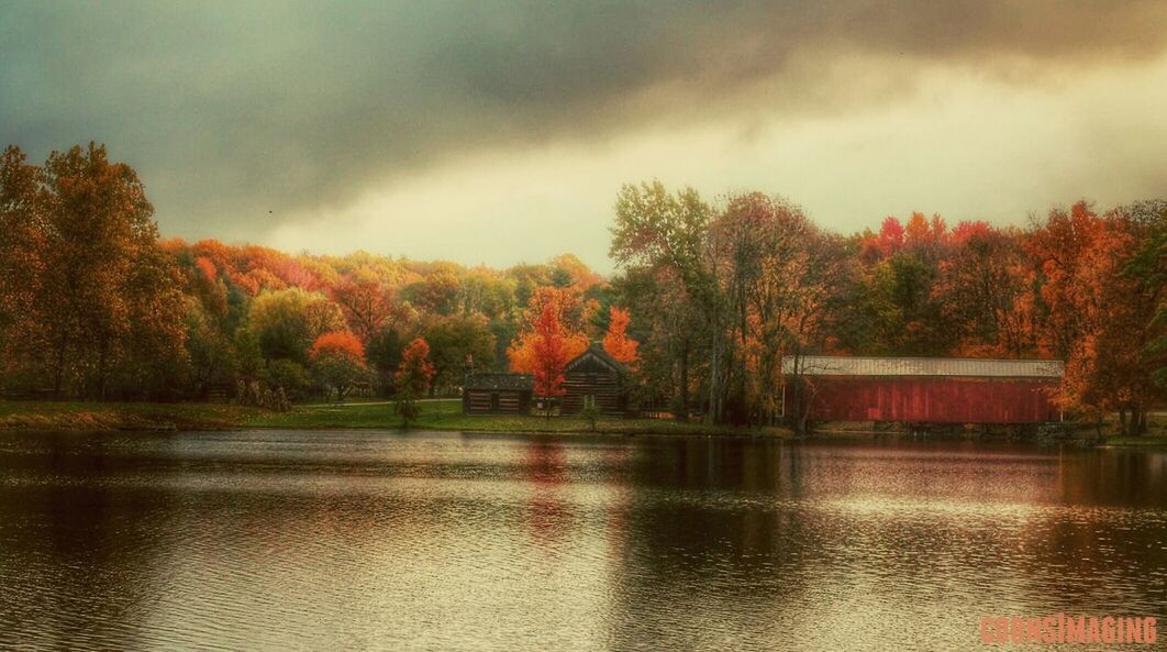 tree, water, sky, lake, cloud - sky, tranquility, tranquil scene, waterfront, reflection, scenics, beauty in nature, cloudy, nature, autumn, weather, river, overcast, idyllic, change, growth