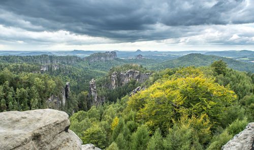 Scenic view of trees and mountains against sky