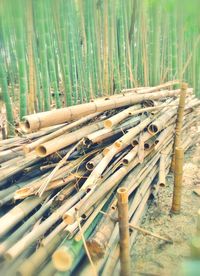 Close-up of wooden logs