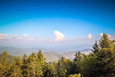 Trees and mountains against blue sky