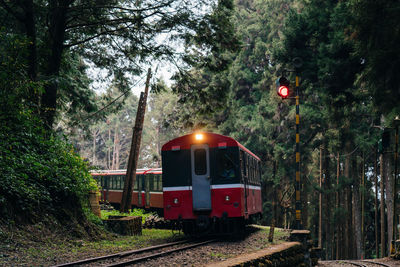 Train on railroad track in forest