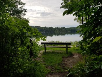 Scenic view of trees against sky