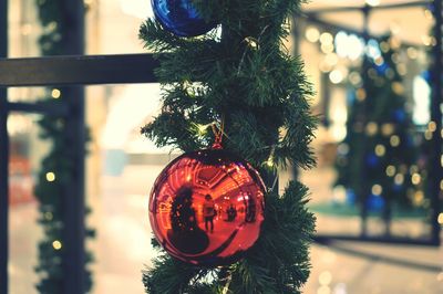 Close-up of christmas decoration hanging on tree