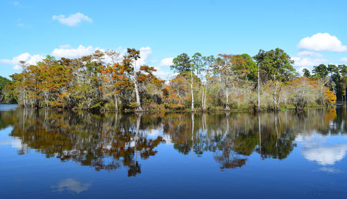 Reflection of trees in lake against sky