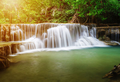 Scenic view of waterfall in forest