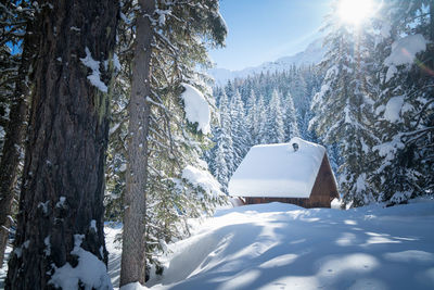 Snow covered land and trees against sky