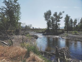 Scenic view of lake in forest against sky