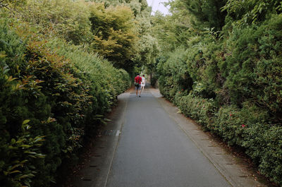 Rear view of friends on road amidst plants and trees