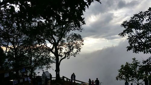 Low angle view of silhouette trees against sky