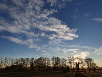 Trees on field against sky