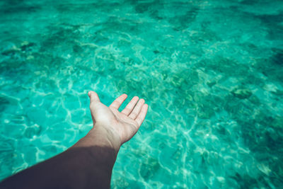 Midsection of person swimming in pool