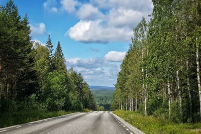 Scandinavian forest road in dalarna