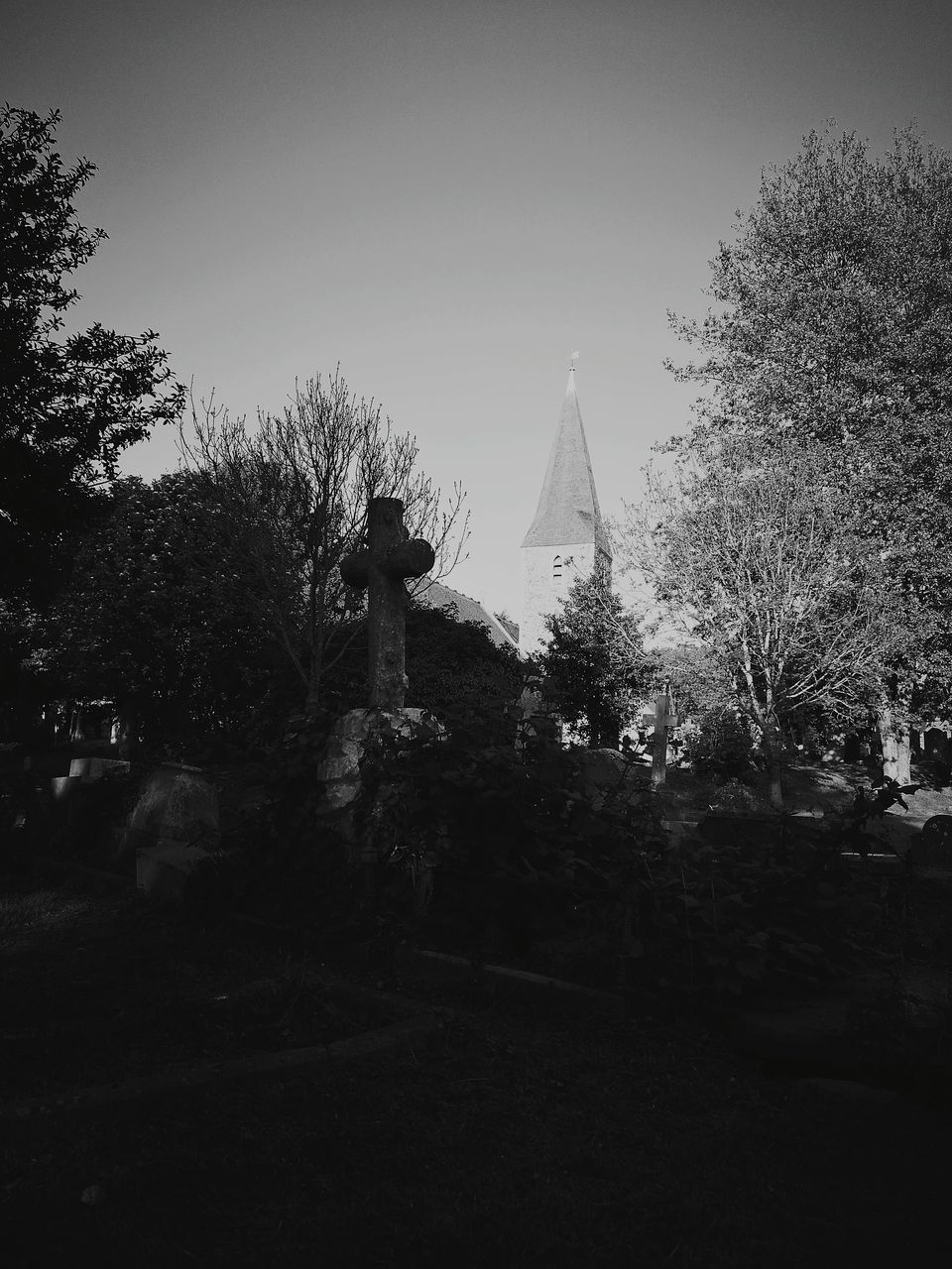 MAN STATUE AGAINST TREES AND SKY