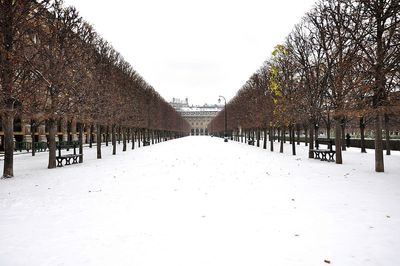 Snow covered trees in park