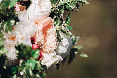 Close-up of rose bouquet