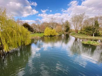 Scenic view of lake by trees against sky