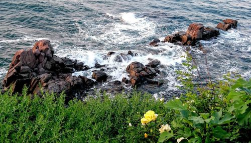 Sea waves splashing on rocks