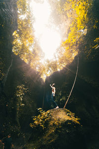 Woman standing by tree in forest