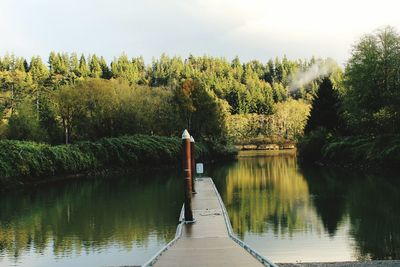 Rear view of man standing by lake