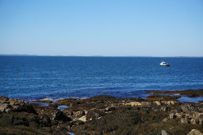 Scenic view of sea against clear blue sky