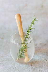 High angle view of plant in glass on table